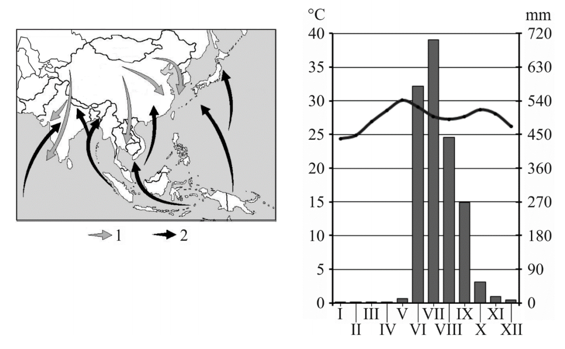 Na wykresie zilustrowano roczny rozkład opadów atmosferycznych i temperatury powietrza charakterystyczny dla Azji Południowo-Wschodniej.