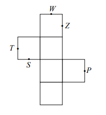 Na rysunku poniżej przedstawiono siatkę sześcianu. Punkty: P, S, T, W, Z są środkami jego krawędzi.